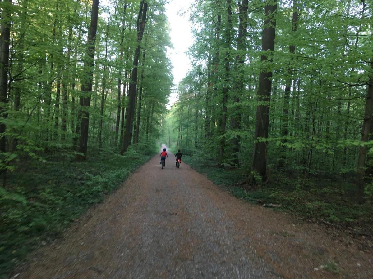 Klosterberghaus - Kontaktloser Check-In Elchingen Bagian luar foto