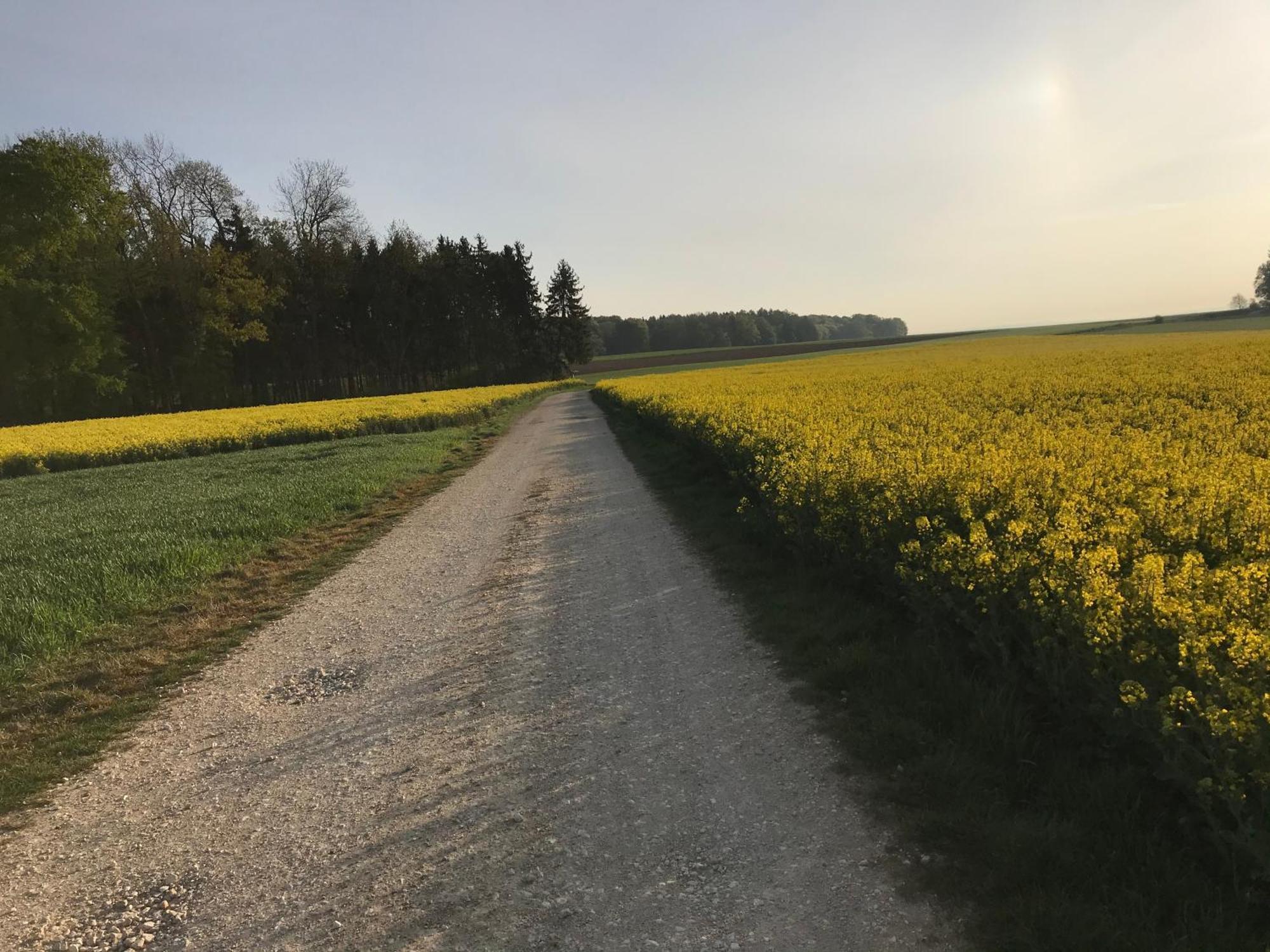 Klosterberghaus - Kontaktloser Check-In Elchingen Bagian luar foto